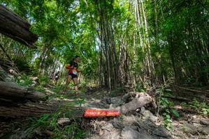 BIB: 
                            <button type="button" onclick="openModal(19393827)" class="btn btn-primary btn-sm float-right btn-popup" data-toggle="modal" data-target=".modal-high-quality">
                        <i class="fas fa-shopping-cart"></i> Add to Cart
                    </button>
                                            <button type="button" onclick="isThisMe(19393827, true)" class="btn btn-success btn-sm float-right btn-popup btn-isme hidden" data-toggle="tooltip" data-placement="bottom" title="นี่คือรูปของคุณใช่ไหม คลิกที่นี่เพื่อเอาเข้าอัลบั้ม">
                        <i class="fas fa-plus"></i> Add to album
                    </button>
                    <button type="button" onclick="isThisMe(19393827, false)" class="btn btn-warning btn-sm float-right btn-popup btn-isnotme hidden">
                        <i class="fas fa-ban"></i> Remove from album
                    </button>